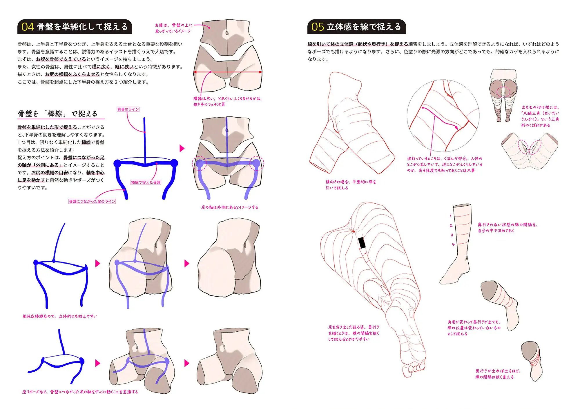 えっちなお尻の描き方 illustrated by しわ(裏絵伝 -ウラカイデン- vol.2)