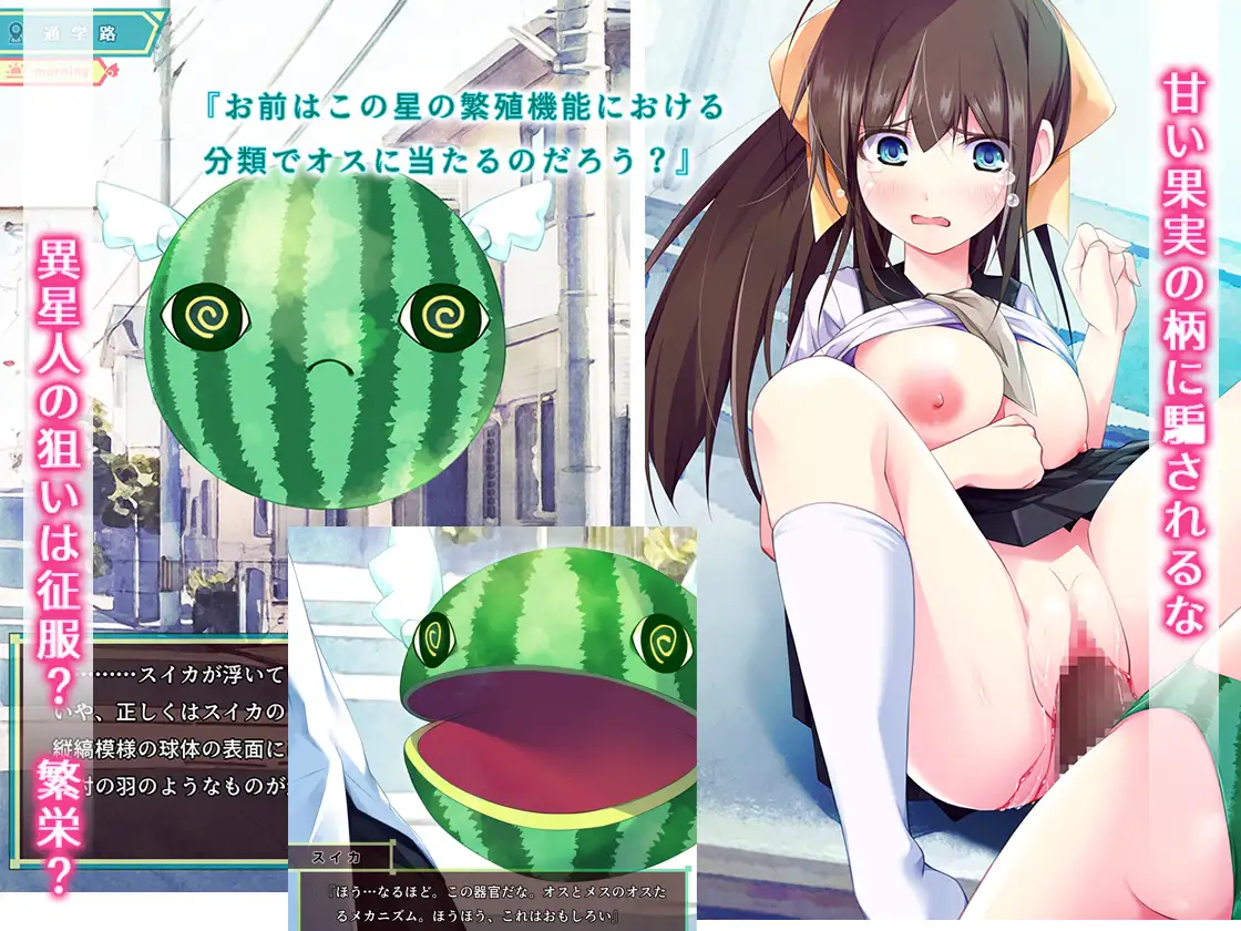 スイカパンティの侵略者