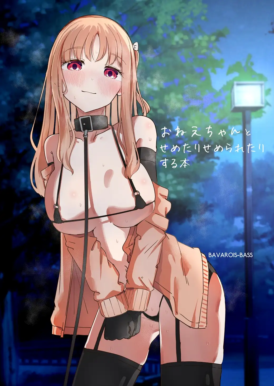 おねえちゃんと せめたりせめられたりする本