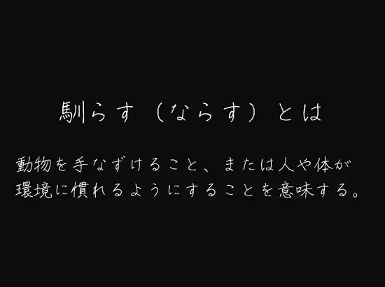 わたしを馴らすひと【途中記録】