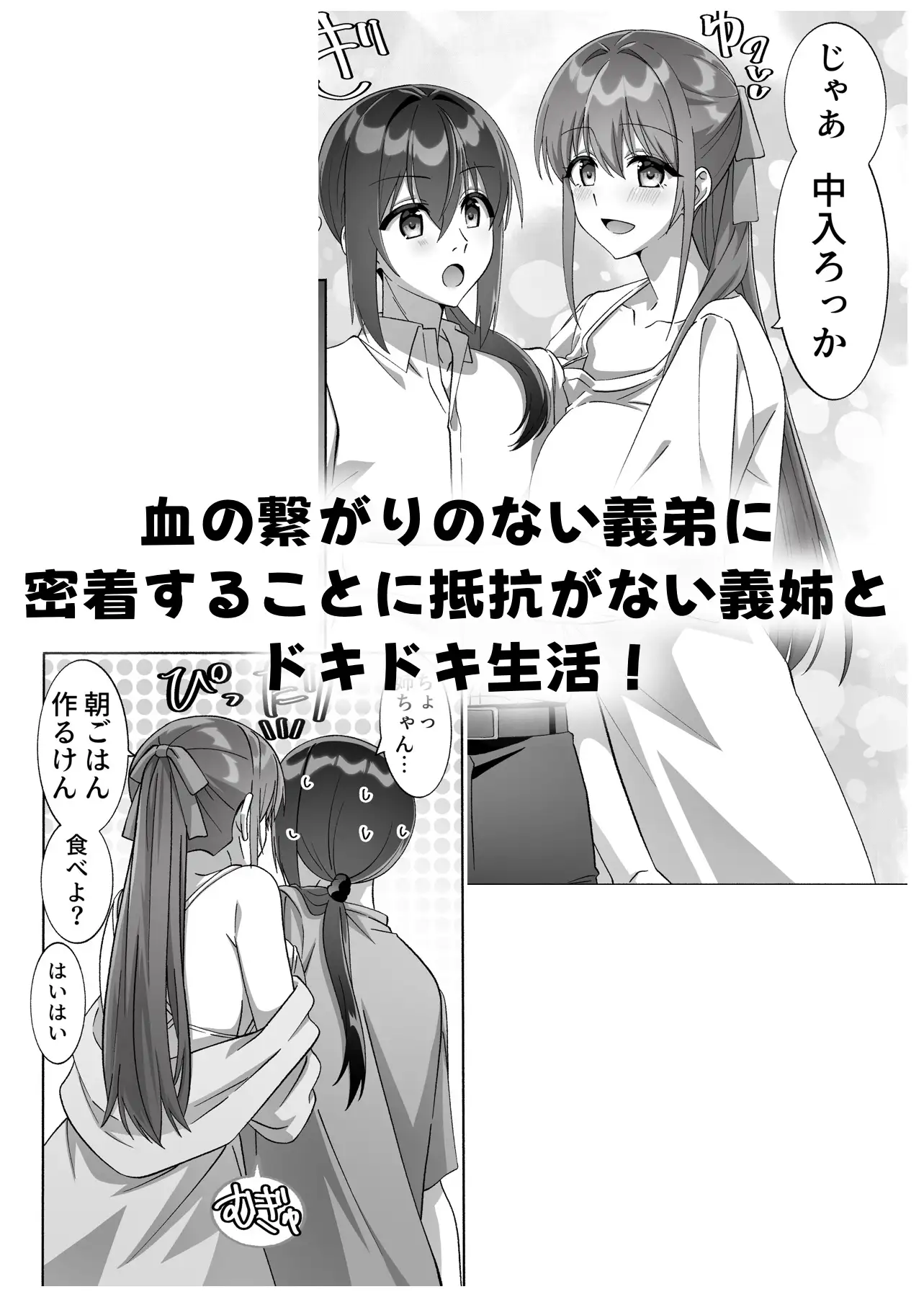 メンヘラ長身巨乳な義姉と僕の日常〜馴れ初め編〜【DLsite版】