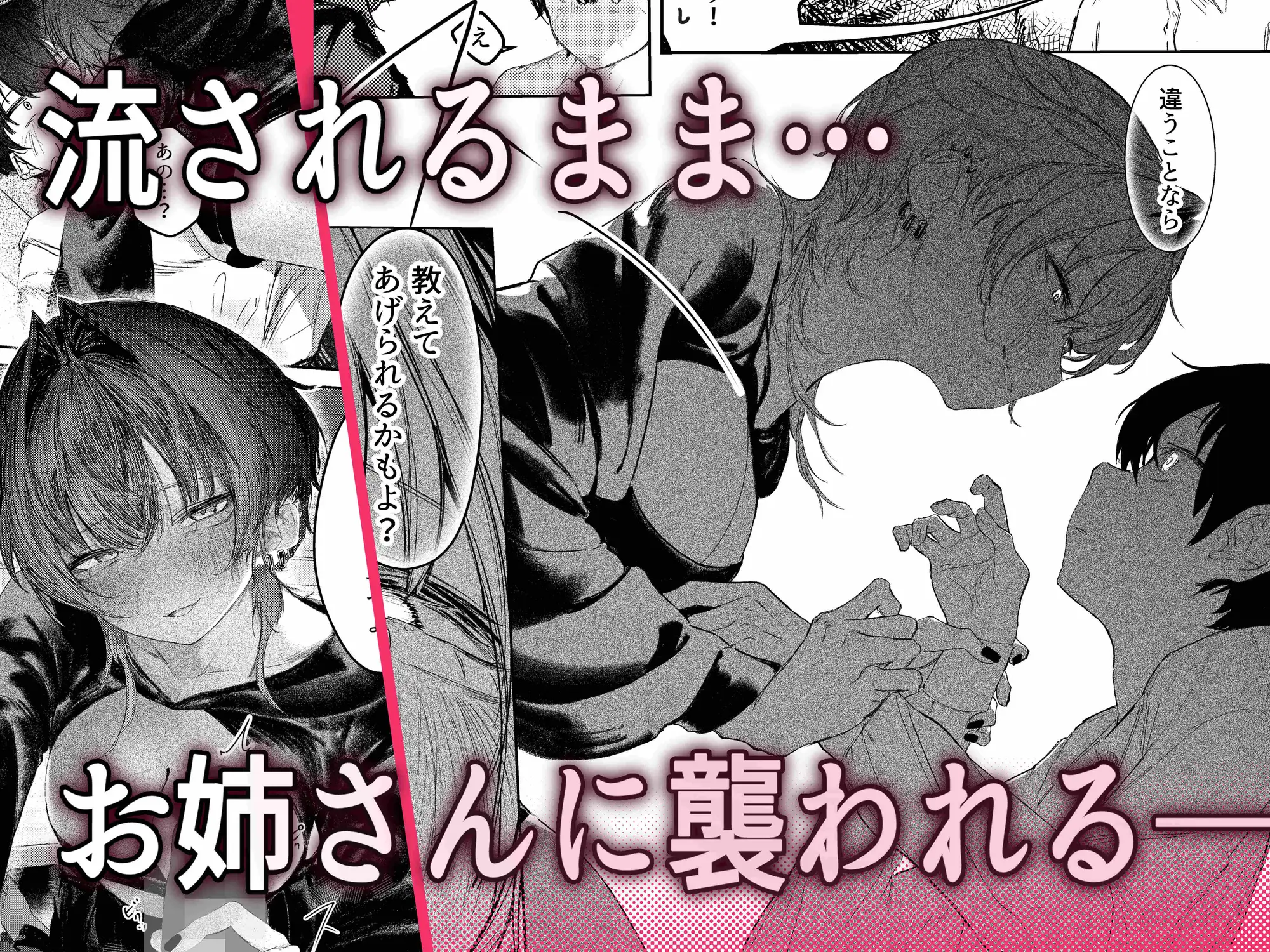 家出したらお姉さんに拾われる話