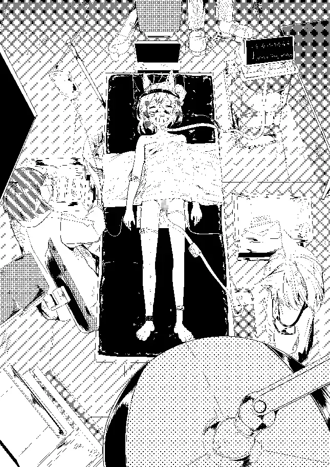 C108新刊3部作 【玉狐と兎】【禽孤而殞瓜】【処女n回目】