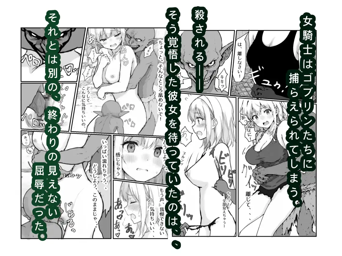女騎士敗北録 〜ゴブリンの森〜 1