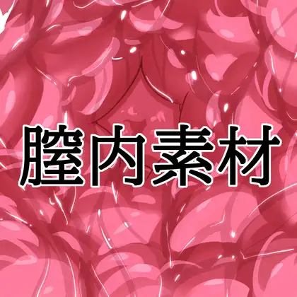 膣内素材