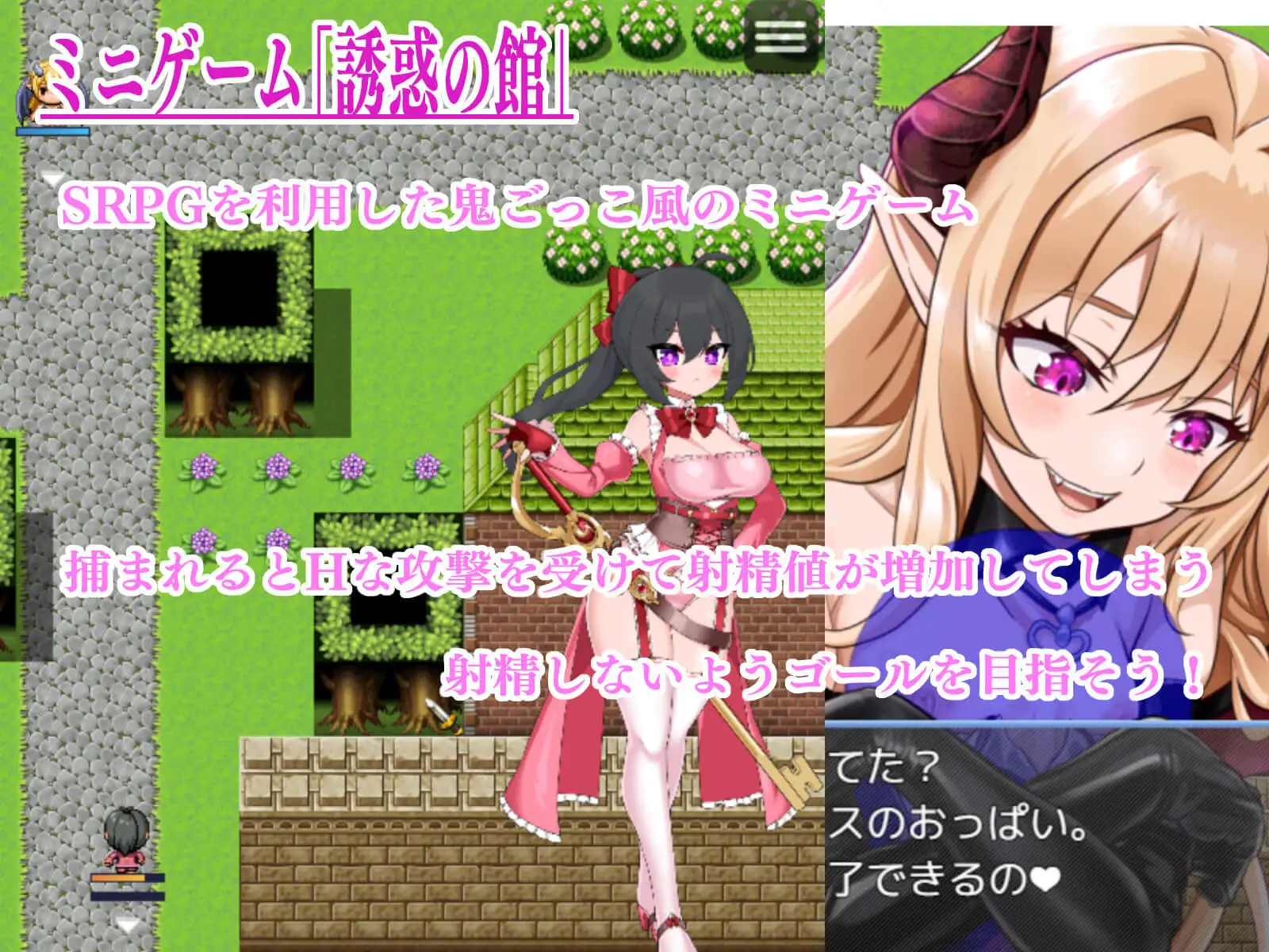 サキュバスドミニオンRB