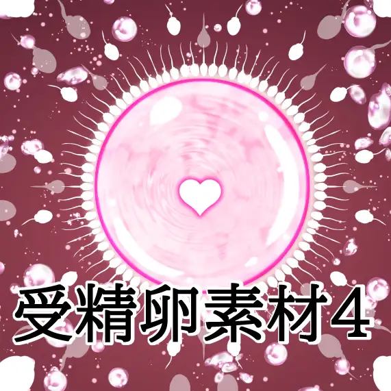 受精卵素材4
