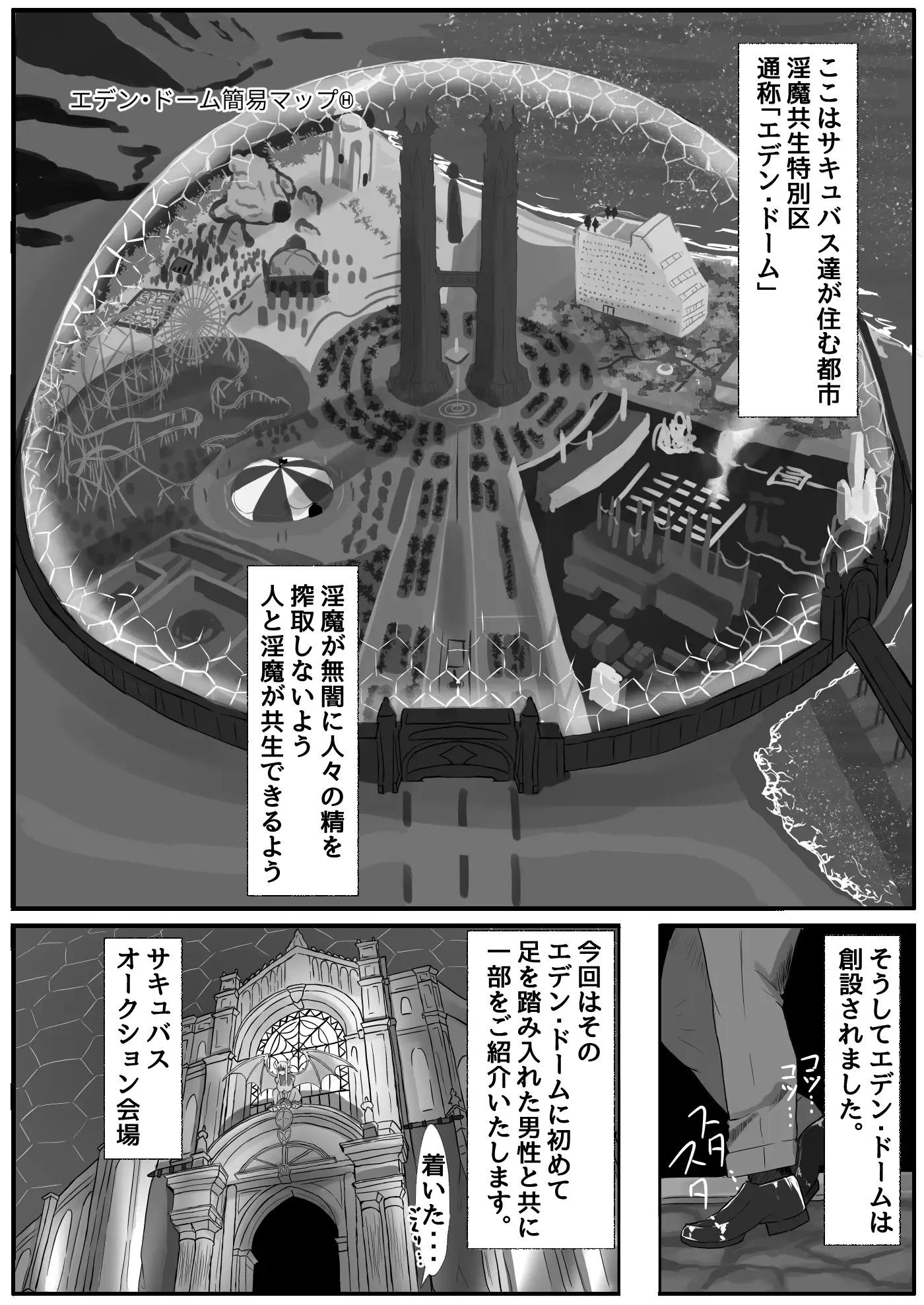 ようこそ淫魔共生特別区へ!