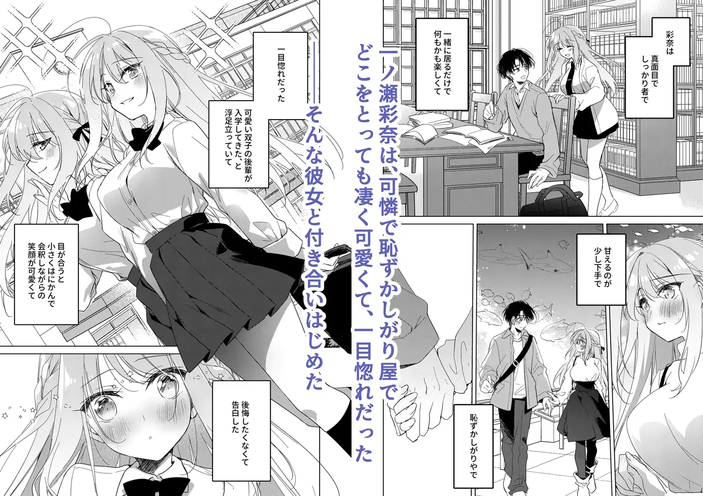 シスターコンプリシティ