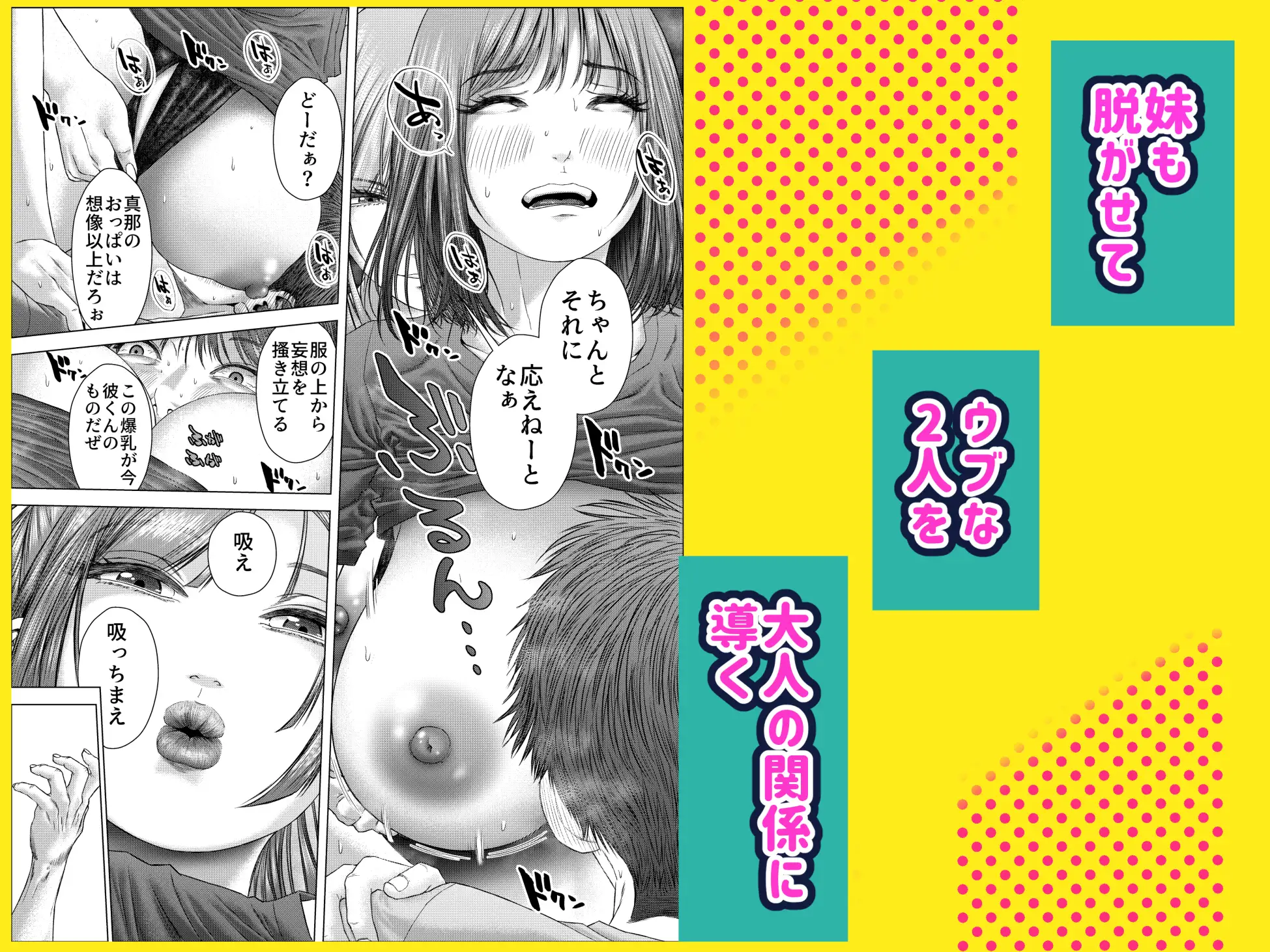 距離感のあるウブっ子カップルが、彼女のお姉さんに性の手ほどきを受ける話