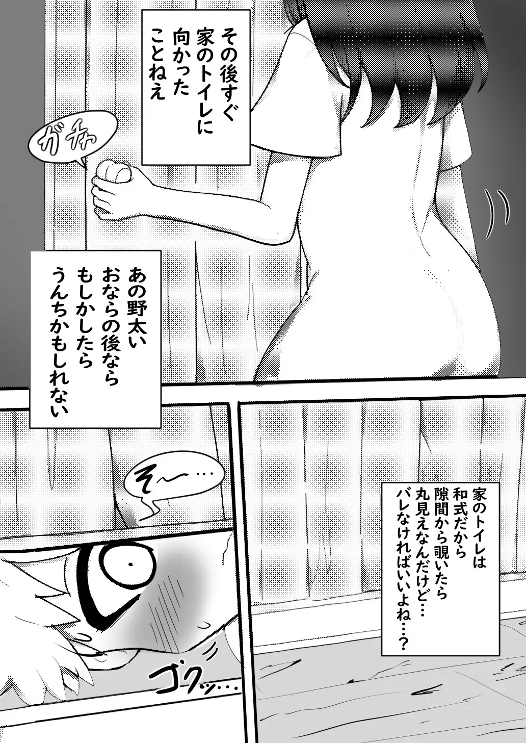 ショタが年上の従姉のお姉ちゃんのトイレを覗くお話