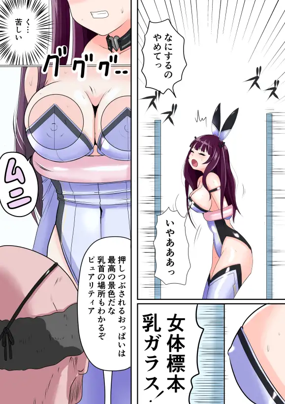 恥辱変身バニーピュアリティア ミサ 02 ～ミサの新たなエッチバトル・敗北 囚われたミサ 編～