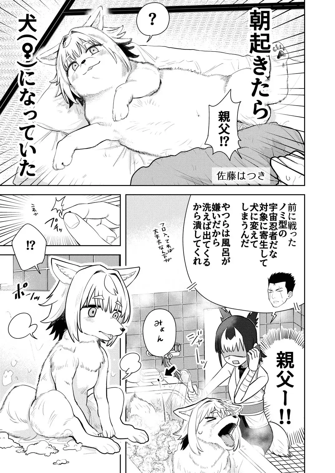 狐鳴紺子郎の合同誌なんて存在するわけないじゃん弐 狐鳴紺子郎二次創作同人誌(公認)