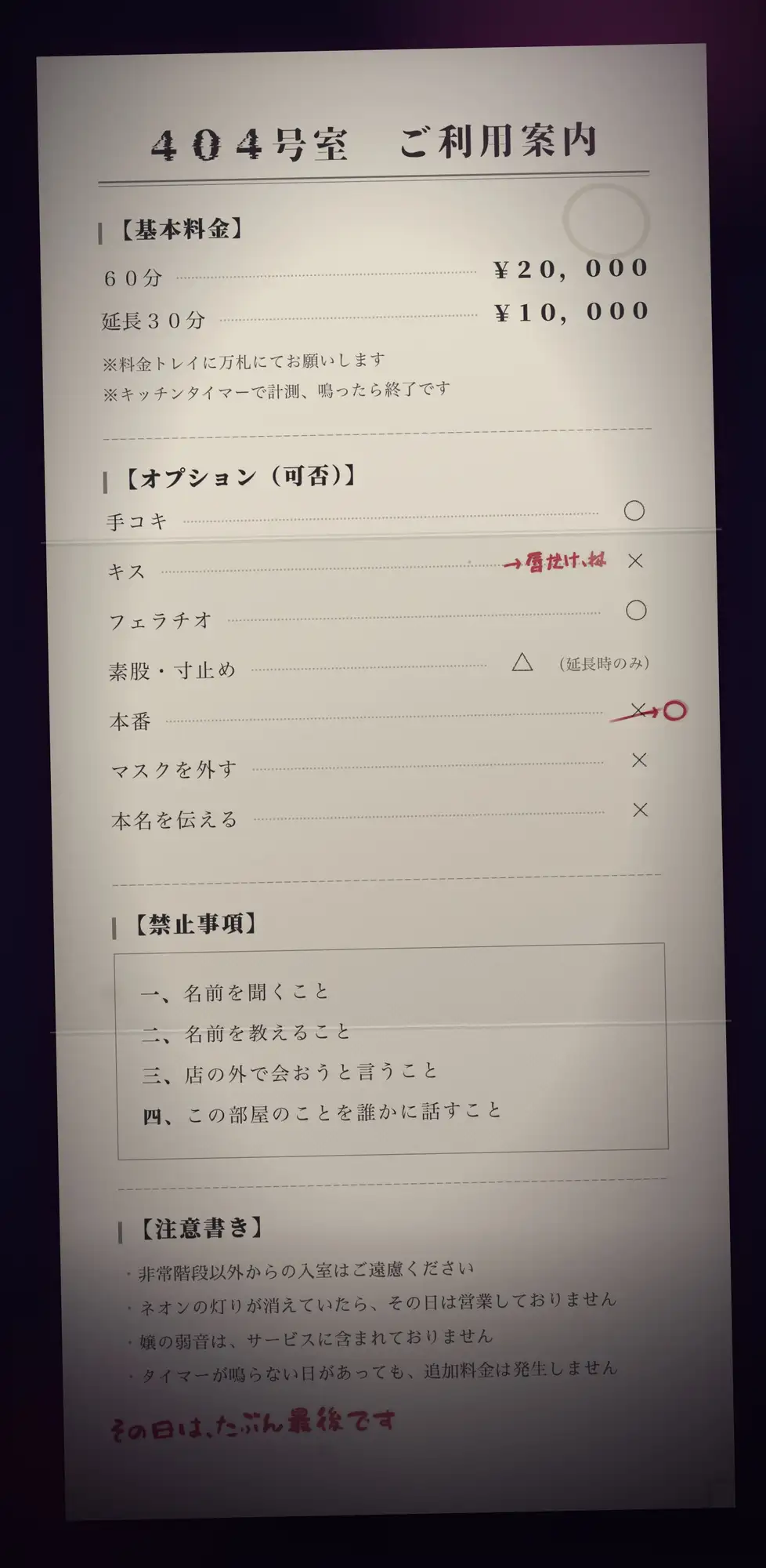 【完全匿名のマゾ向け裏風俗】60分2万円で哀れみセックス&情けない手コキ寸止め現実逃避〜404号室の売春婦のテクニックに沼った金欠社会人の末路～