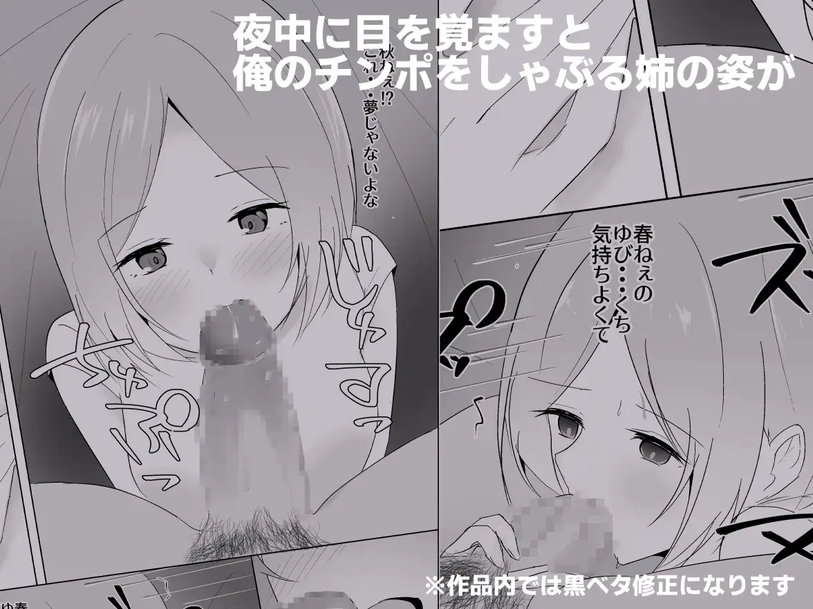 姉がよなよなフェラしてくる