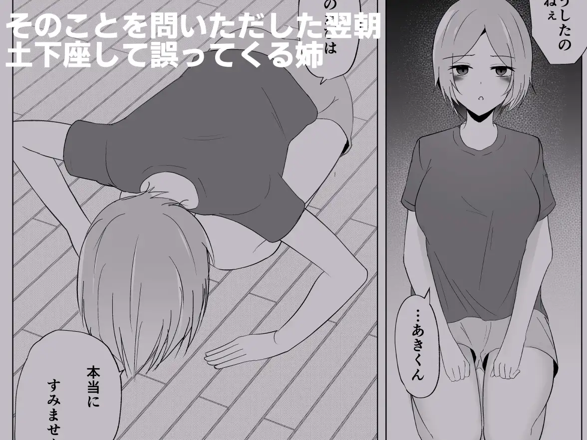 姉がよなよなフェラしてくる
