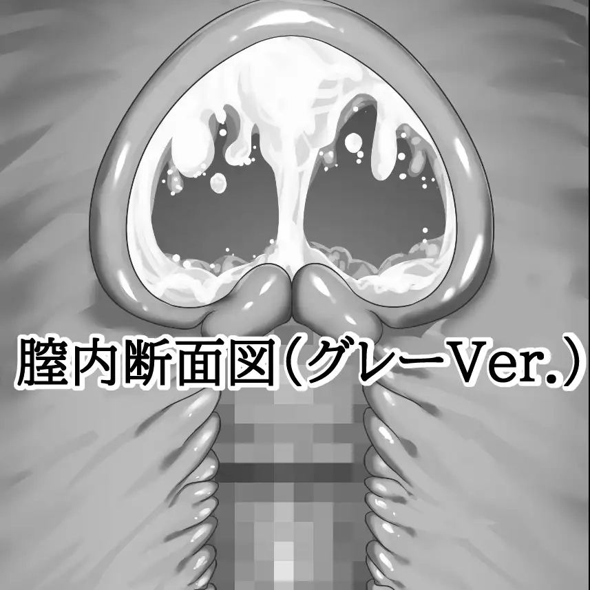 膣内断面図素材(グレーVer.)