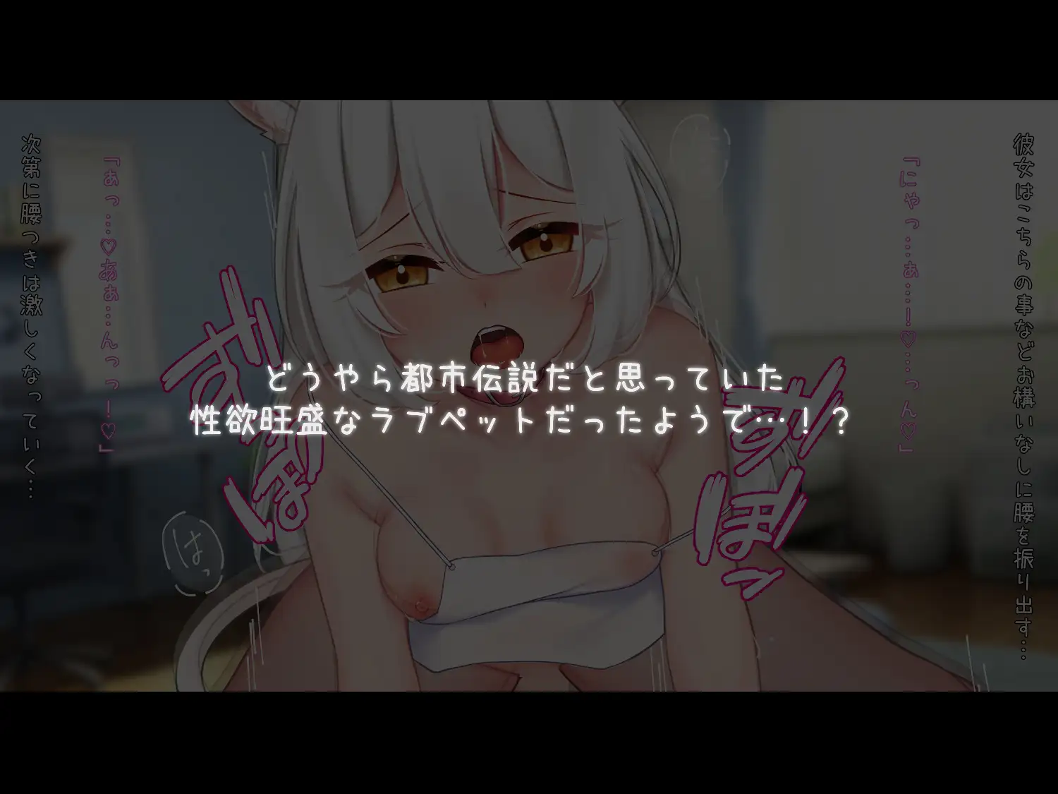 らぶぺっと~自由気ままで積極的な猫と5日間の濃厚SEX~
