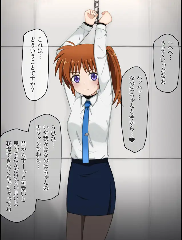 変態局員共に襲われちゃうなのはさんの話