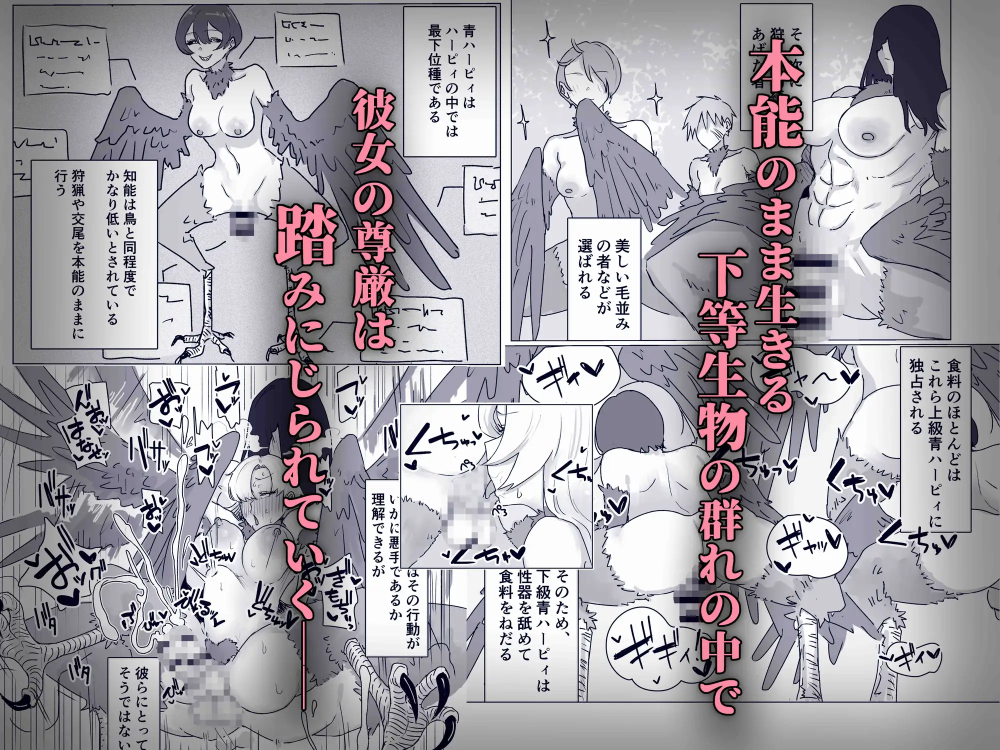 最強女騎士ふたなりハーピィ化