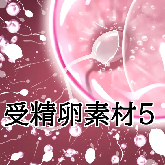 受精卵素材5