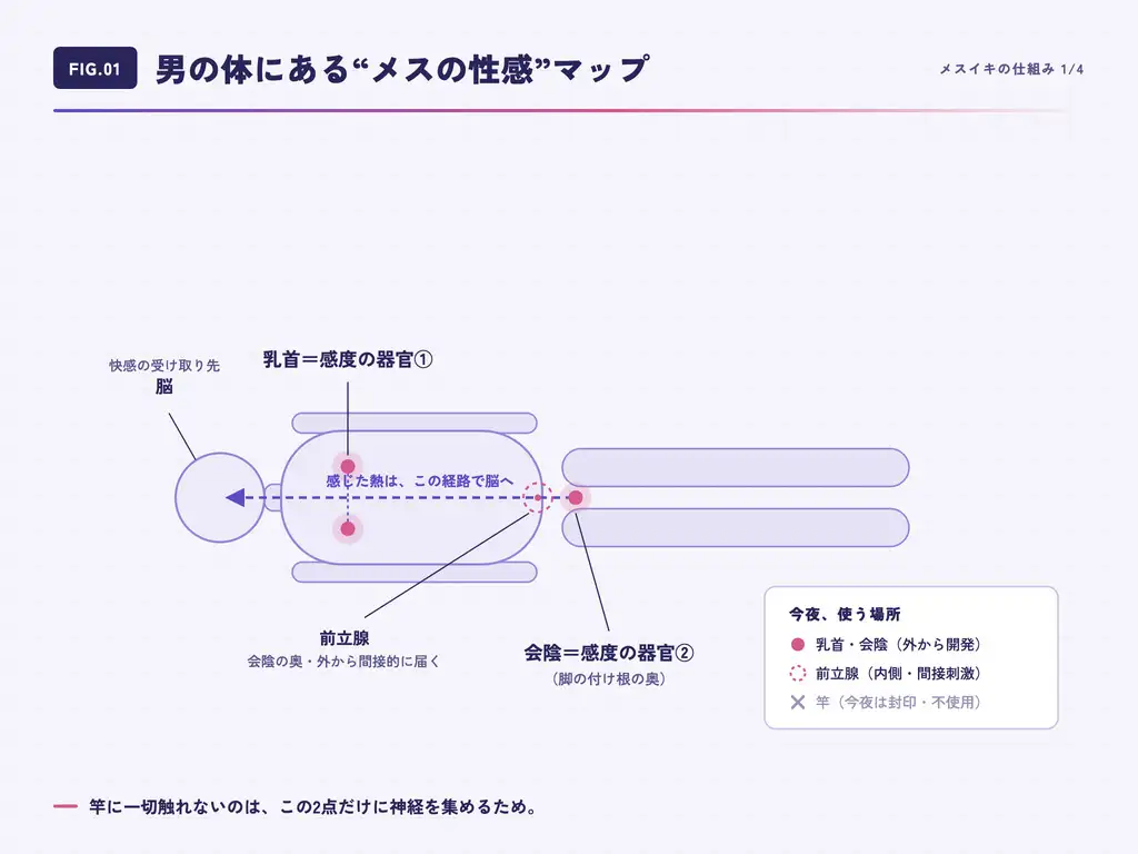 【メスイキ感覚シンクロ×シッシーヒプノ】初めてでも大丈夫！女性がイく感覚をあなたの体で再生する快感研究者の中イキ開発施術〜男のままメスイキの扉が開くセッション〜