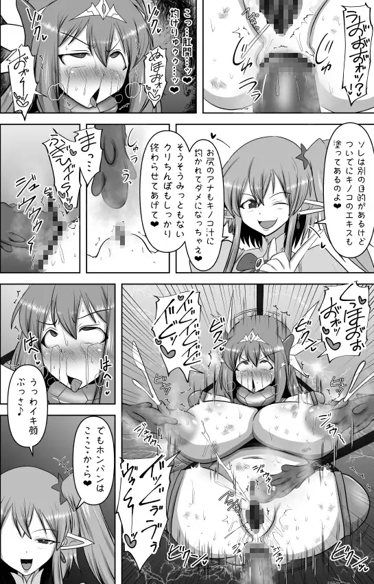煌盾戦姫エルセイン 堕肉嘲罰&intermission