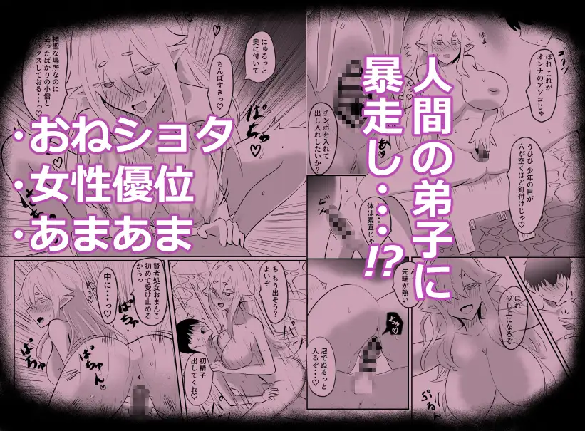 エルフの賢者と人間の弟子