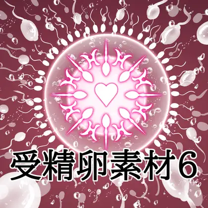受精卵素材6