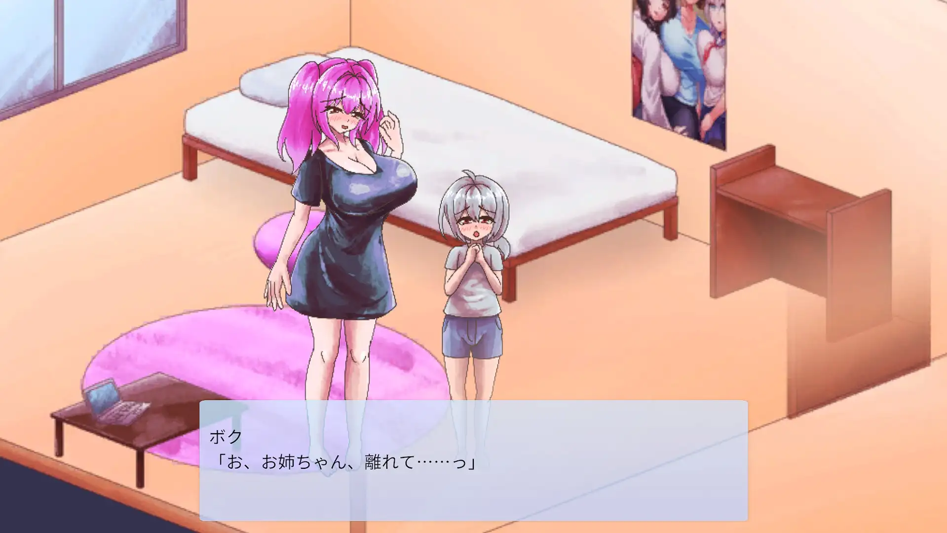 お姉ちゃんたちと過ごすボクの毎日
