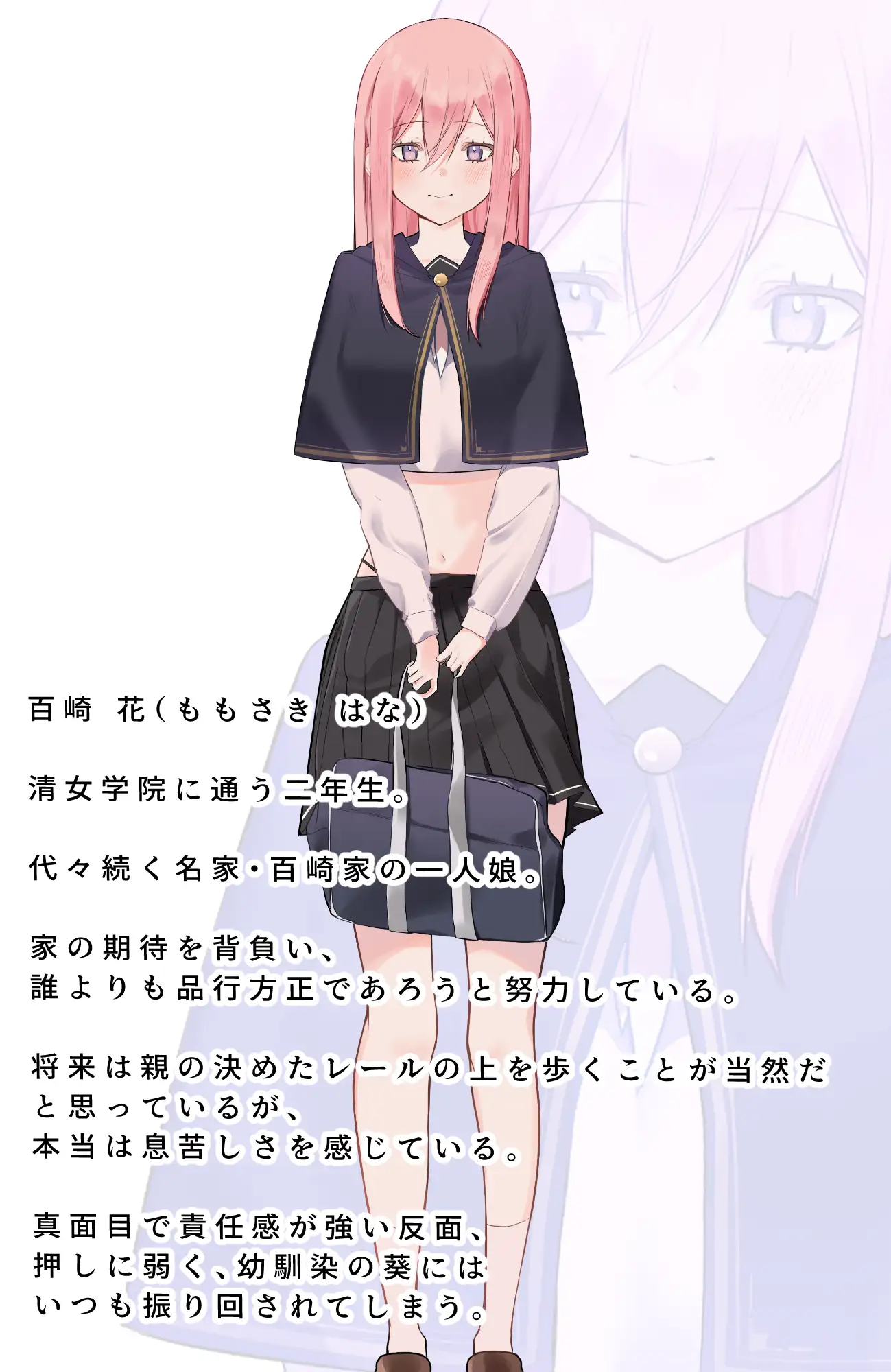 乱さないで葵ちゃん~秘密の放課後~総集編