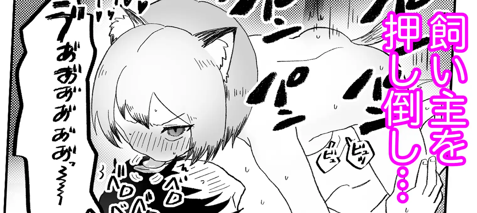 発情期なのにア●ルにハマってしまう飼い猫ちゃんの話