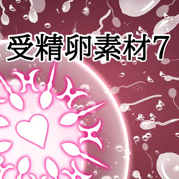 受精卵素材7
