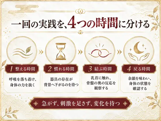 前立腺マッサージ器 挿れるだけでは気持ちよくなれない 乳首と前立腺を結びメスイキできる身体へ導く 究極快楽メスイキを発動させるための「乳首と前立腺快楽の繋げ方」