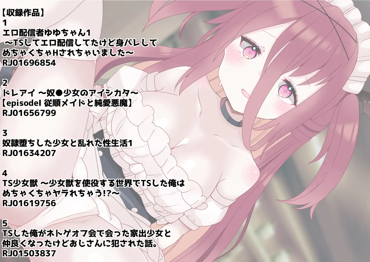 TS作品+α26年総集編