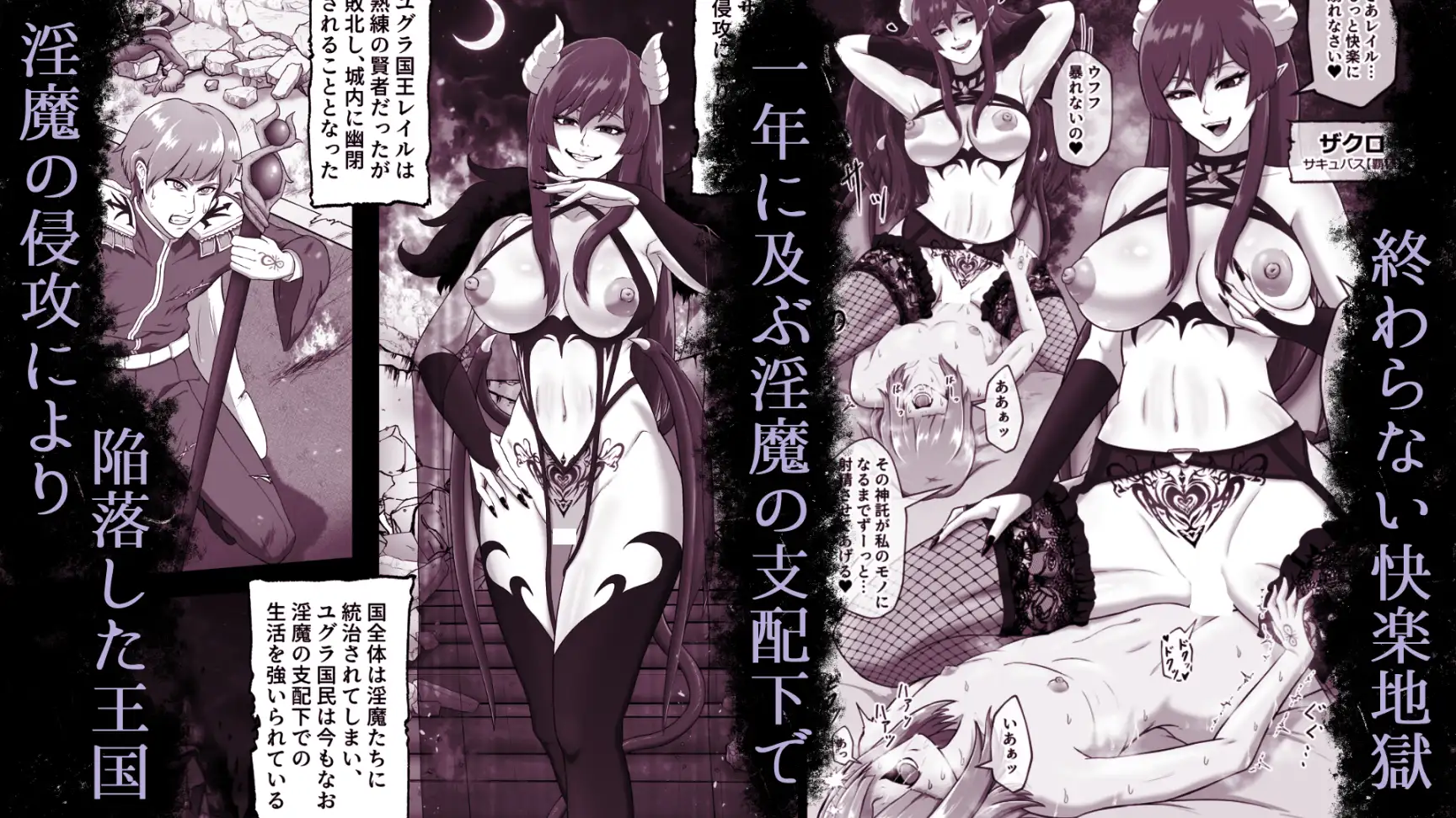 サキュバス城攻略 (1)淫魔に支配された王国