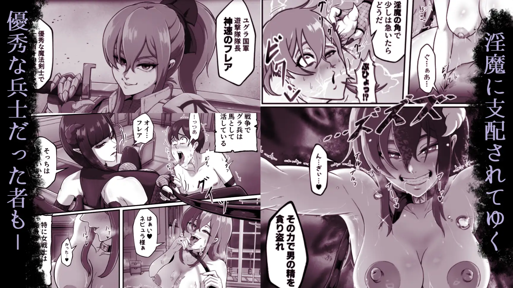 サキュバス城攻略 (1)淫魔に支配された王国