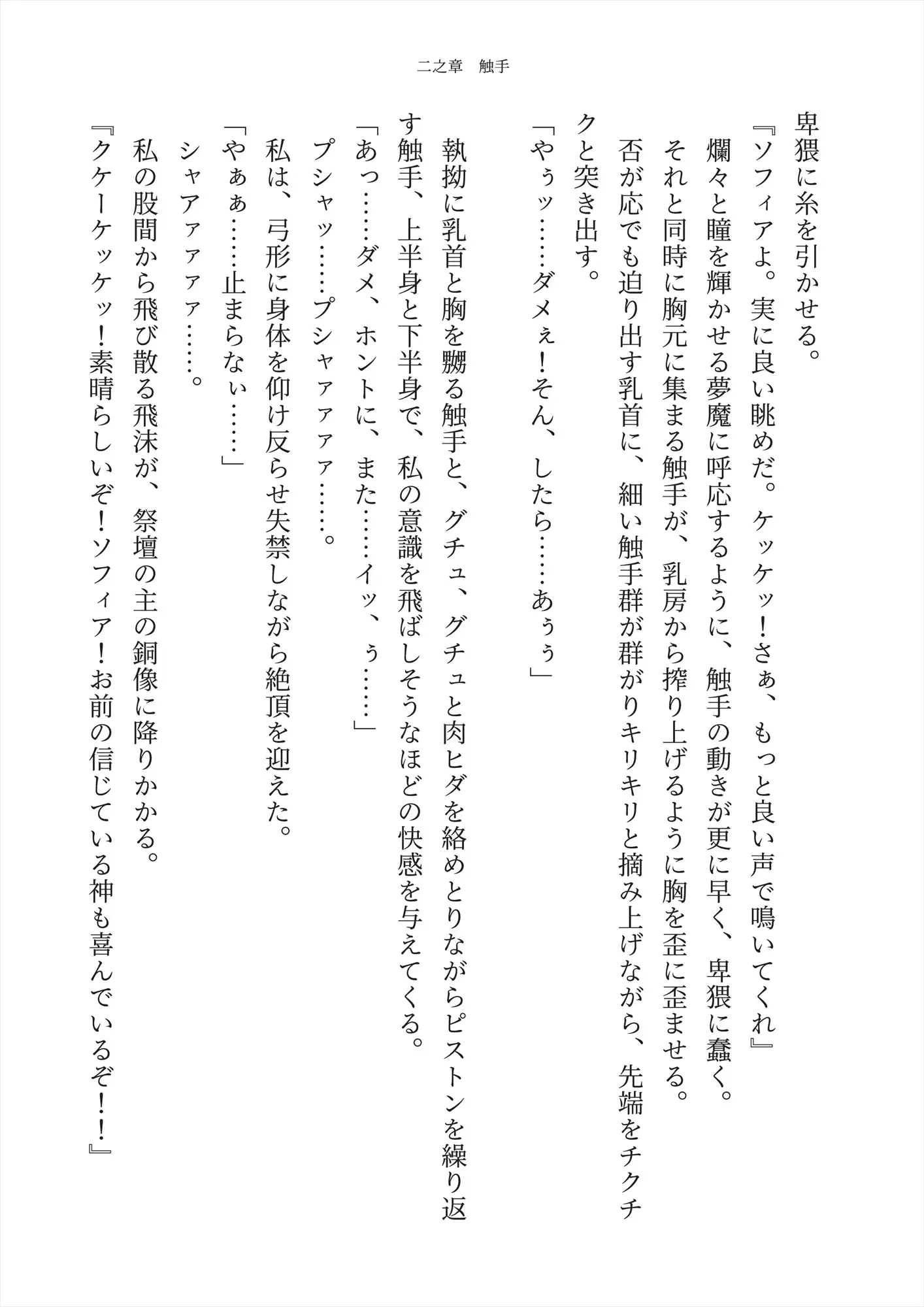 【触手】聖女陥落 ～触手と初老の肉棒に堕ちる聖女～