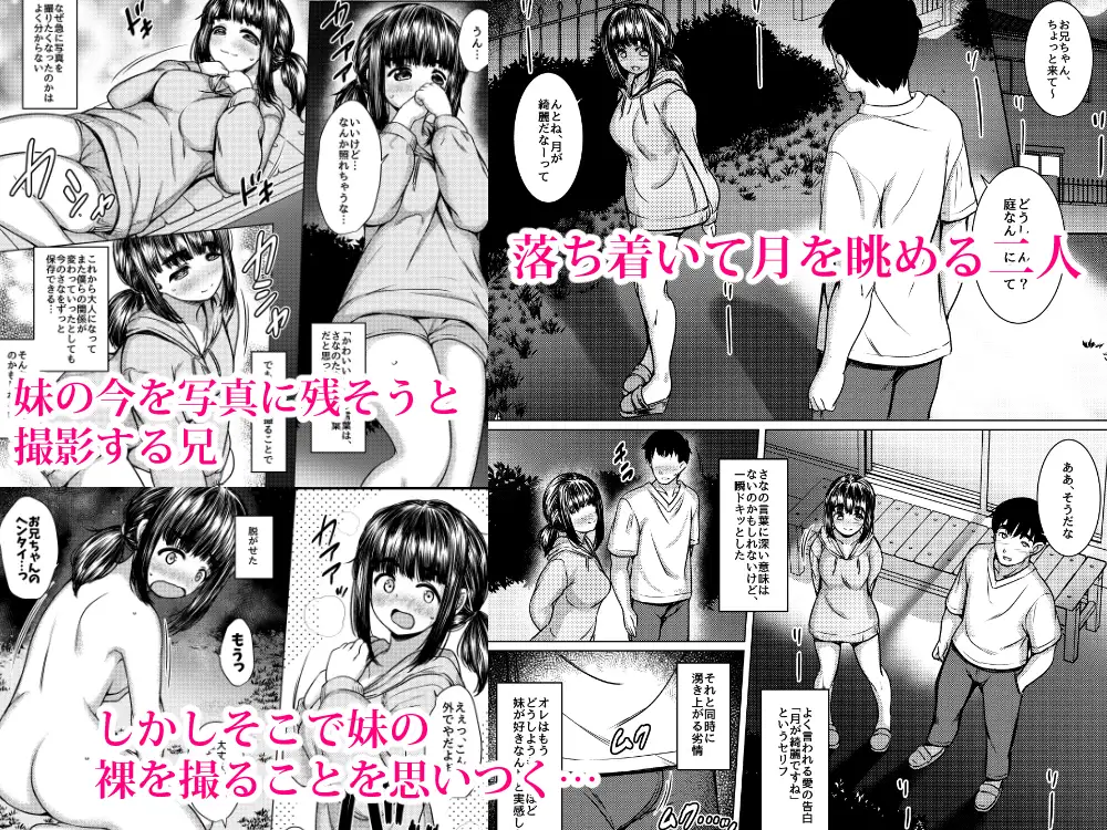 兄妹が終わる時2 ~性に目覚めた妹がメスの悦びに墜ちるまで~