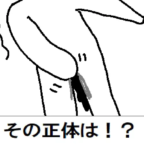 粘土人間のすべて