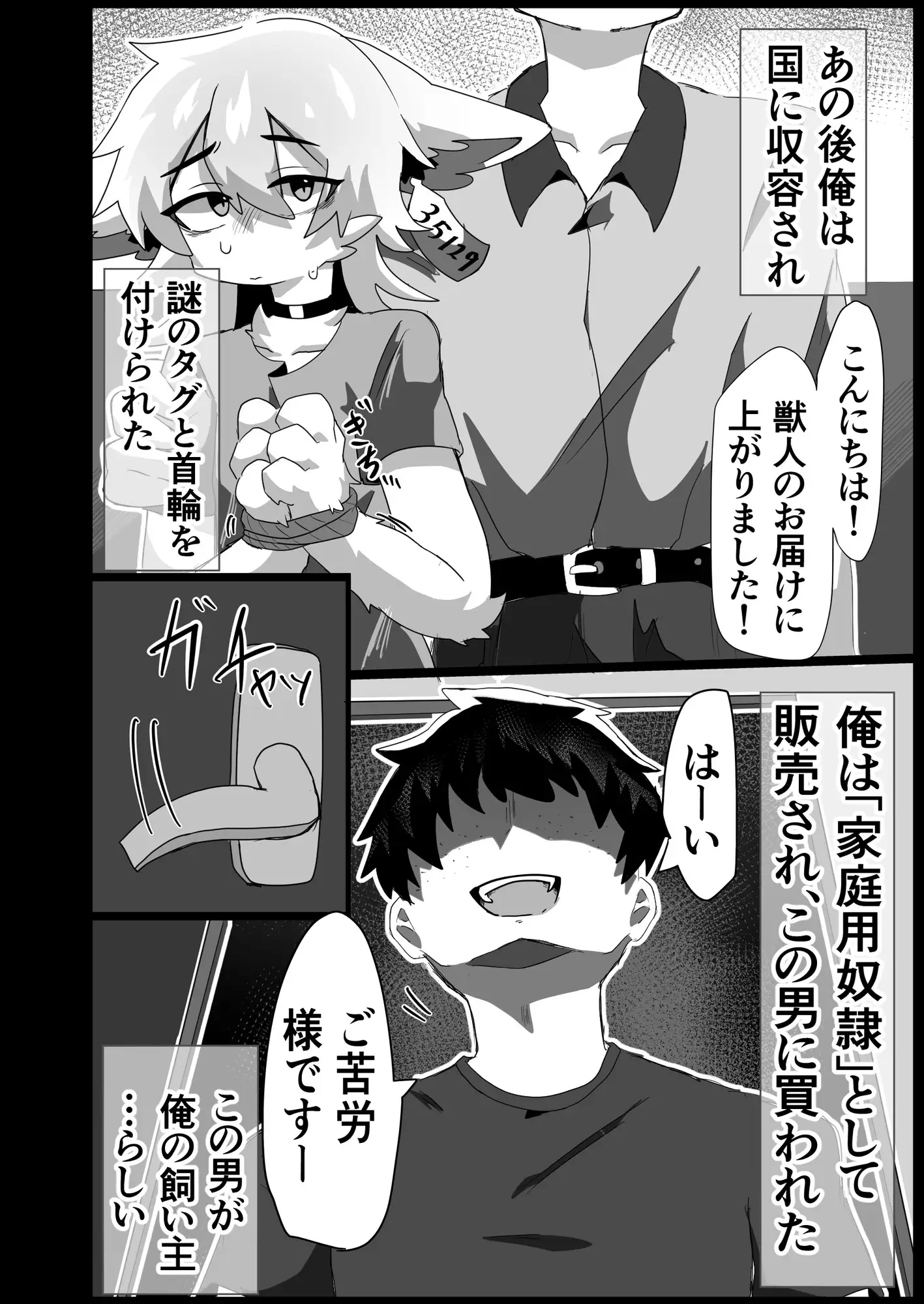 獣人の権利が全停止されたので(1)〜昔虐めてきた獣人を奴○オナホ♂化わからせ交尾〜