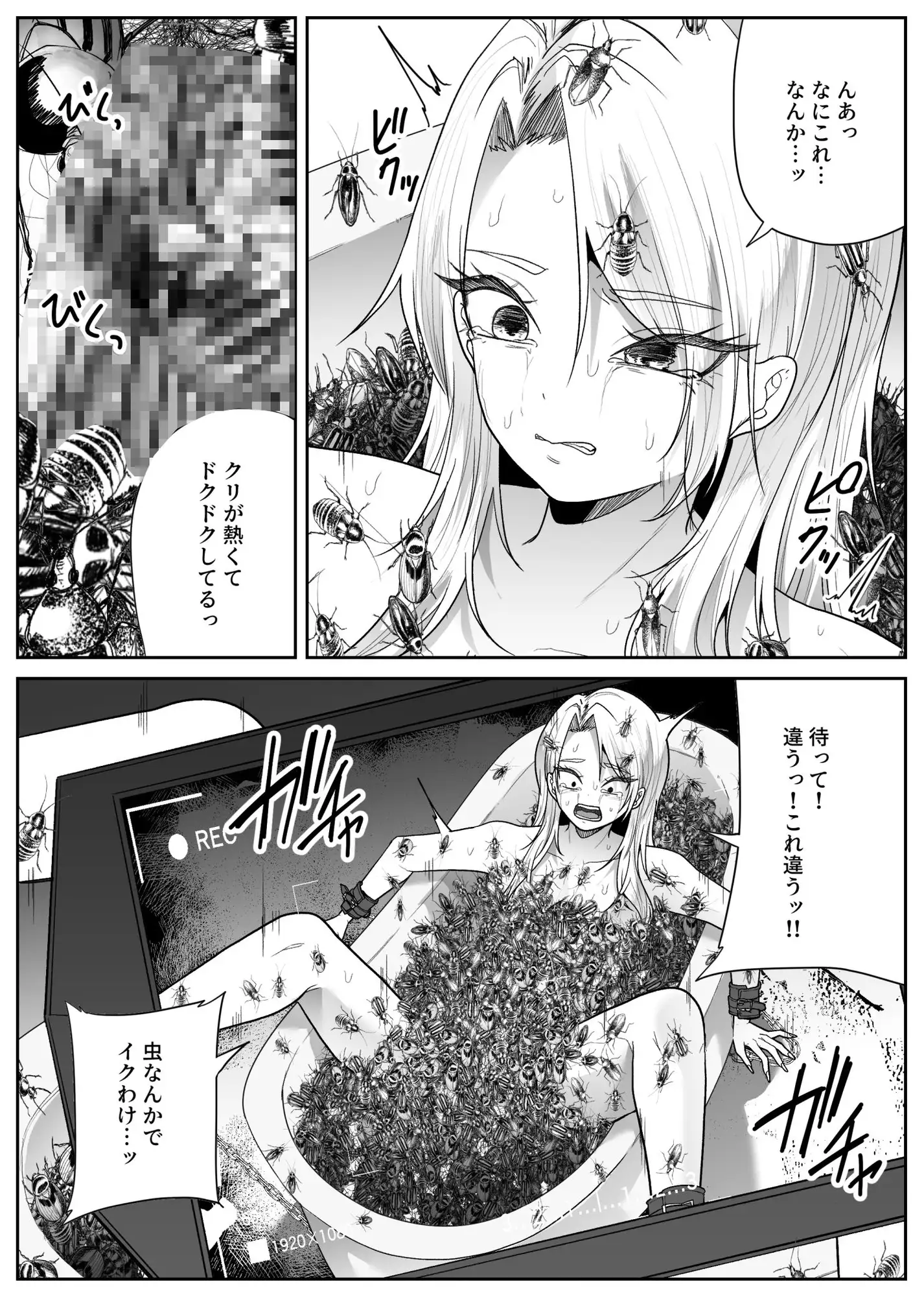 虫風呂
