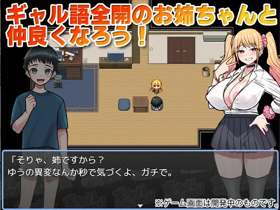 甘々ギャルお姉ちゃんに精通させられてうっかり妊娠さっせちゃった僕