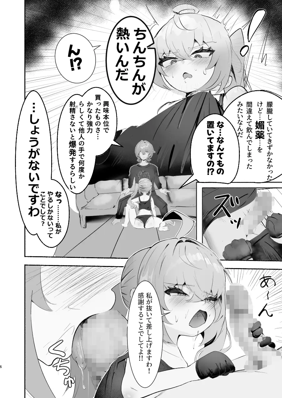 お嬢様との情事
