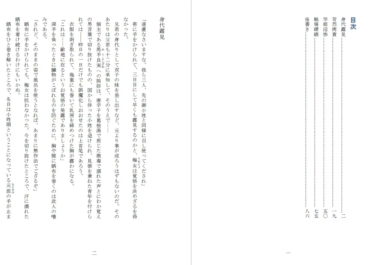 竿姫戦場磔:陰門篇