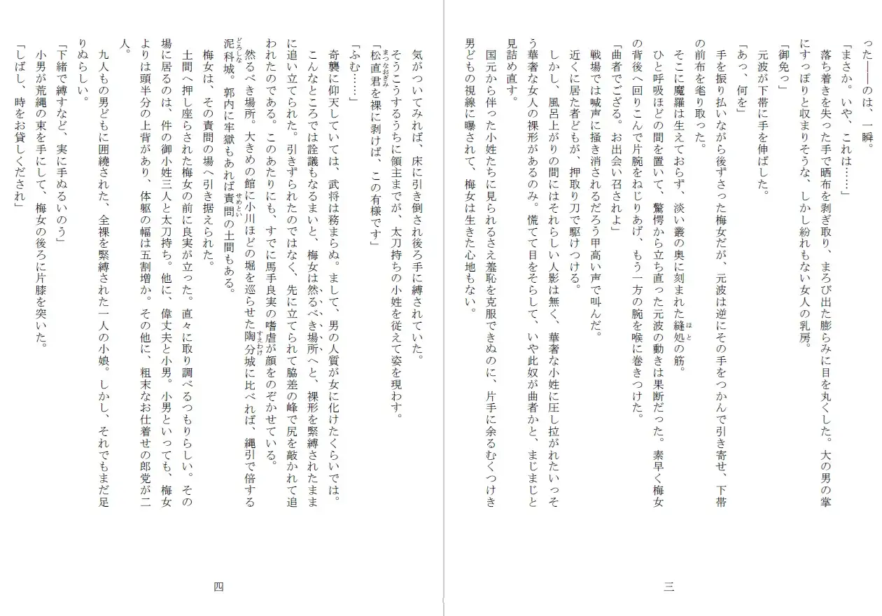竿姫戦場磔:陰門篇
