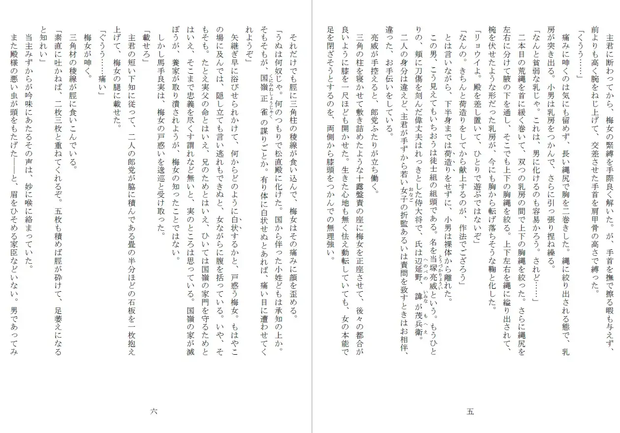竿姫戦場磔:陰門篇