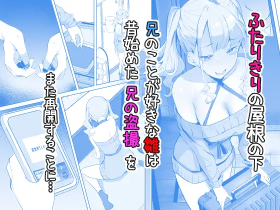 みまもりカメラで兄を視ていたらあたしも視られてた話