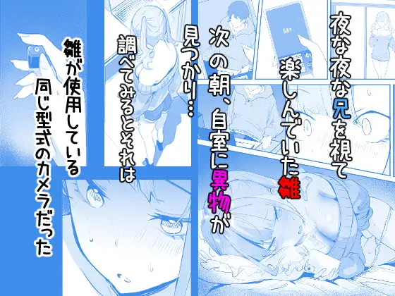 みまもりカメラで兄を視ていたらあたしも視られてた話
