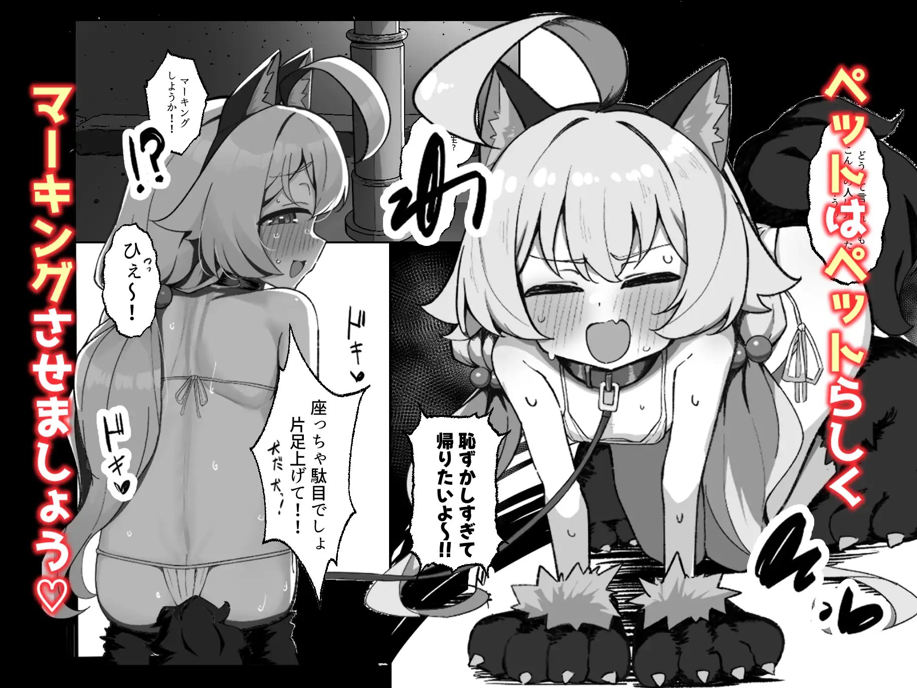 ホシノとペット性活-お散歩編-